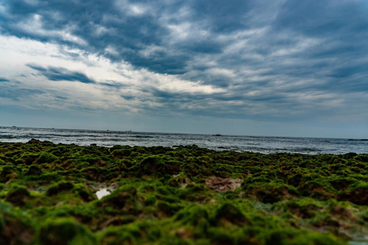 Vista Praia Beach Resort Anjuna Luaran gambar